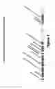 Fig. 02 - Broad Spectrum Bacteriocin for Control of Unwanted Bacteria