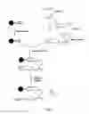 Fig. 04 - Targeting of glycoprotein therapeutics