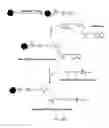 Fig. 06 - Targeting of glycoprotein therapeutics