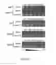 Fig. 02 - Modified lipopolysaccharide glycoform and method of use