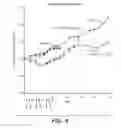 Fig. 05 - Methods of treating cancer using PD-L1 axis binding antagonists and VEGF antagonists