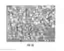 Fig. 04 - Process for making iron oxide nanoparticle preparations for cancer hyperthermia