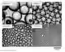Fig. 01 - EMULSIONS STABILIZED BY WHEY PROTEIN MICELLES
