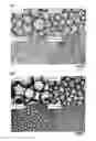 Fig. 03 - EMULSIONS STABILIZED BY WHEY PROTEIN MICELLES