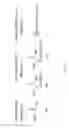 Fig. 06 - Conformations of divergent peptides with mineral binding affinity