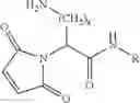 Fig. 96 - SELF-STABILIZING LINKER CONJUGATES