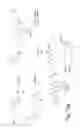 Fig. 08 - Modified antibody, antibody-conjugate and process for the preparation thereof