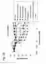 Fig. 22 - Modified antibody, antibody-conjugate and process for the preparation thereof
