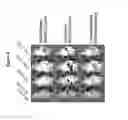 Fig. 05 - Finite fully addressable nucleic acid nanostructures as nanocarriers for delivery of pharmaceuticals