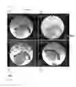 Fig. 02 - Nuclear magnetic resonance diagnostic agent, and method for detecting or diagnosing state of cell, tissue or organ in subject using same