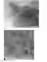 Fig. 02 - Amorphous carbon supported nanoparticles comprising oxides of lanthanides and method for preparing them