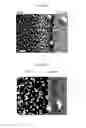 Fig. 08 - Radioactive nanoparticles and methods of making and using the same