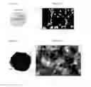 Fig. 09 - Radioactive nanoparticles and methods of making and using the same