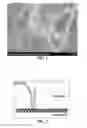 Fig. 02 - TISSUE SEALANT IN WHICH COLLAGEN AND FIBRIN ARE MIXED, AND METHOD FOR PREPARING SAME