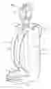 Fig. 01 - PORTABLE INTRAVENOUS (IV) BACKPACK