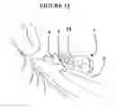 Fig. 13 - RETAINING DEVICE FOR HOLDING ITEMS ON A HOSPITAL BED FRAME