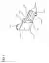 Fig. 07 - Flush syringe assembly with controlled pulsatile flushing