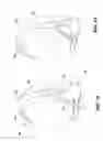 Fig. 13 - PAP system