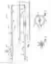 Fig. 02 - VARIABLE STIFFNESS MULTILAYER CATHETER TUBING