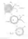 Fig. 09 - Catheters with lubricious linings and methods for making and using them