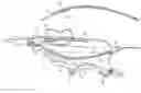 Fig. 01 - CATHETER ACCESS AND CONTROL DEVICE AND METHOD OF USING SAME
