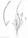 Fig. 03 - CATHETER ACCESS AND CONTROL DEVICE AND METHOD OF USING SAME