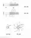Fig. 06 - BONE IMPLANT AND SYSTEMS THAT CONTROLLABLY RELEASES SILVER