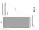 Fig. 02 - SYSTEMS AND METHODS FOR A GROUNDED COVERING THAT IS IN DIRECT CONTACT WITH A NATURAL EARTH GROUND
