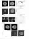Fig. 09 - METHODS TO FABRICATE, MODIFY, REMOVE AND UTILIZE FLUID MEMBRANES