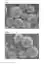 Fig. 02 - MICROCAPSULE-MANUFACTURING PROCESS AND MICROCAPSULES