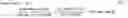 Fig. 02 - Carbon chain polymerization of coal combustion emissions