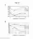 Fig. 06 - Method for producing catalyst for exhaust gas removal and catalyst obtained by the production method