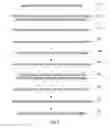 Fig. 09 - Food slicing guide