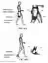 Fig. 49 - Soft exosuit for assistance with human motion