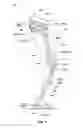 Fig. 02 - Legged robotic device utilizing modifiable linkage mechanism