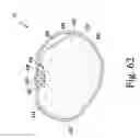 Fig. 38 - System for imaging and orienting seeds and method of use
