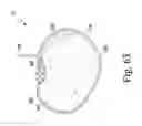 Fig. 39 - System for imaging and orienting seeds and method of use