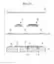 Fig. 02 - Liquid ejection head and method of manufacturing the same