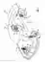 Fig. 02 - Recuperating passive and active suspension