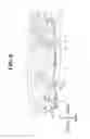 Fig. 09 - SEAT DEVICE
