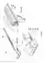Fig. 02 - Heated windshield wiper system for vehicle