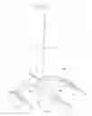 Fig. 02 - Wing and application thereof
