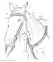 Fig. 01 - EQUESTRIAN TACK WITH REPLACEABLE DECORATIVE COVERS