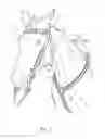 Fig. 02 - EQUESTRIAN TACK WITH REPLACEABLE DECORATIVE COVERS