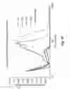 Fig. 19 - Preparation of polymeric resins and carbon materials