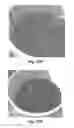 Fig. 28 - Preparation of polymeric resins and carbon materials