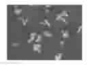 Fig. 02 - Method for preparation of silver azide