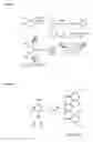 Fig. 02 - Catalytic C—H bond activation