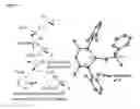 Fig. 10 - Catalytic C—H bond activation