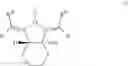 Fig. 28 - Catalytic C—H bond activation